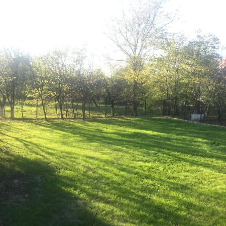 Green Nest Băneşti Exterior foto