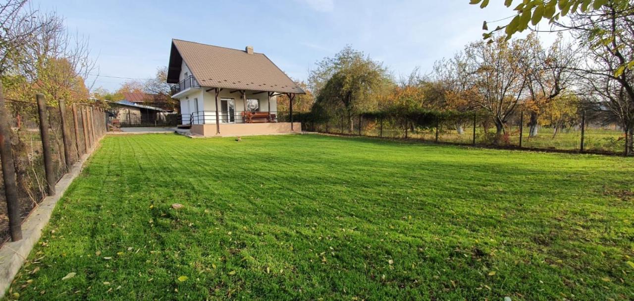 Green Nest Băneşti Exterior foto
