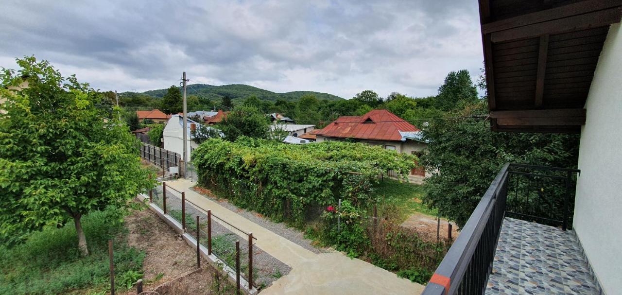 Green Nest Băneşti Exterior foto